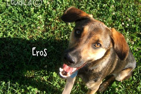 Buona vita a Eros!